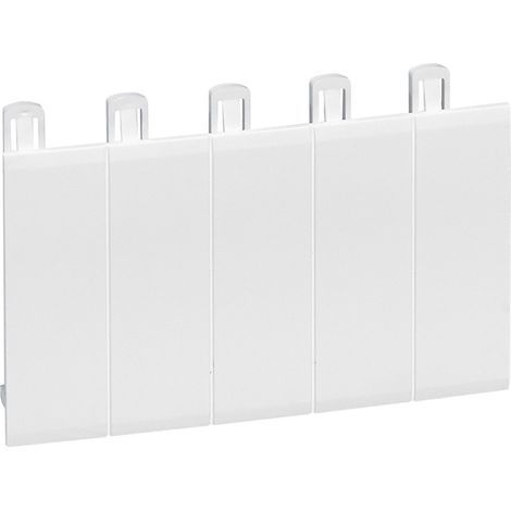 OBTURATEUR 5 MODULES BLANC RAL 9010 (LEGRAND 001660) (1/2)