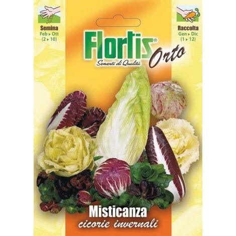 MISTICANZA  CICORIE INVERNALI