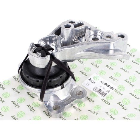 Soporte de motor Megane Scenic III 2.0 DCI (1/5)