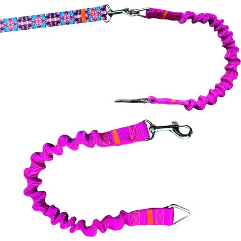 Amortisseur pour laisse de chien FUCHSIA laisse de sport traditionnelle (1/4)