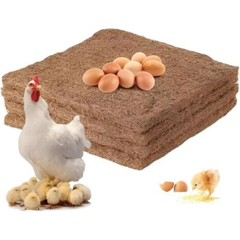 Porte automatique de poulailler avec minuterie en alliage d'aluminium IP45 affichage LED étanche ouvre-porte automatique de poulet alimenté par batterie pour la ferme (1/5)