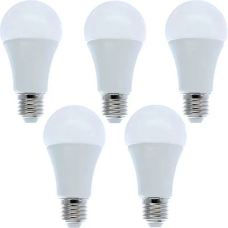 Lot de 5 ampoules LED E27 12 W blanc froid, équivalent 100 W, classe énergétique A+