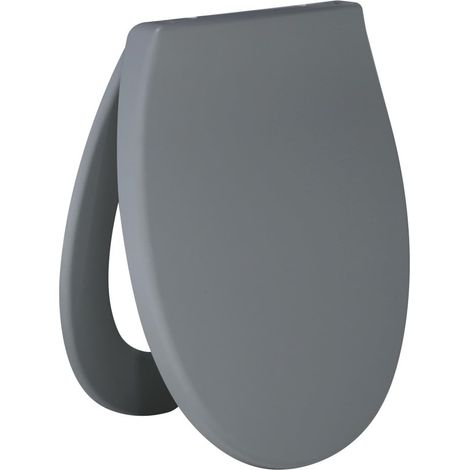 Primaster WC-Sitz mit Absenkautomatik hellgrau WC-Brille (1/3)