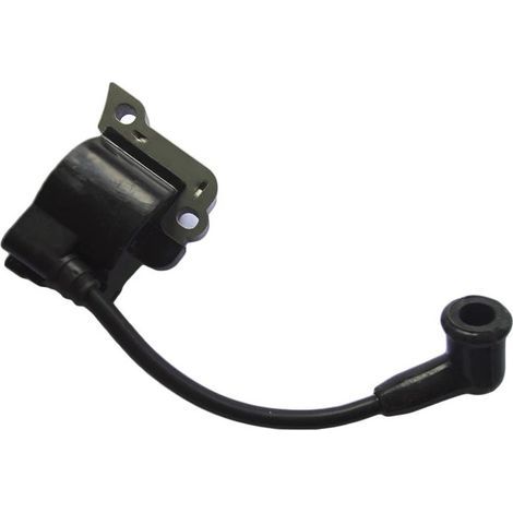 Robin EH025 Hochspannungszündspule für Motoren, elektronische Zündung geeignet für kleine Generatoren (1/3)