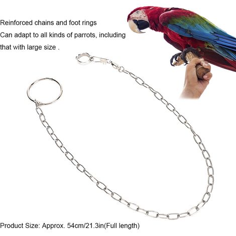 Chaîne de cheville fendue en acier inoxydable pour l'entraînement des grands perroquets et autres oiseaux. (1/5)