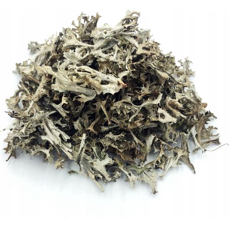 Isländisches Lich 1 kg 100% natürlich