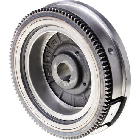 Volant BRIGGS ET STRATTON 841050WM (1/2)
