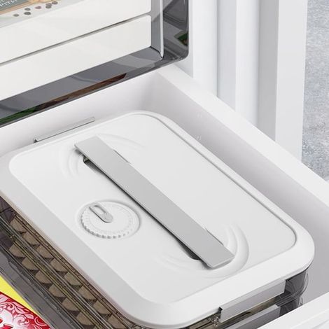 Caja para guardar dumplings，caja para almacenar alimentos，cajas para dumplings congelables，soporte para alimentos para refrigerador (blanco-2) (1/4)