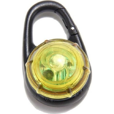 Wasserdichtes LED-beleuchtetes Hundehalsband mit sicherem Clip für verbesserte Sichtbarkeit bei nächtlichen Spaziergängen.
