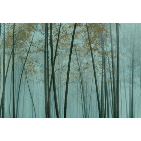 Papier peint panoramique foret salle de bain Tapisserie panoramique vert turquoise nature brumeux véranda Papier peint panoramique arbre bois zen (1/2)