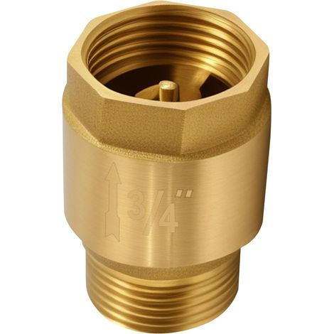 Clapet anti-retour 3/4" en laiton 3/4" AG vers IG, clapet anti-retour avec filetage intérieur et filetage extérieur, inoxydable et étanche, pour pompe, machine à laver, jardin et citerne d'eau (1/5)