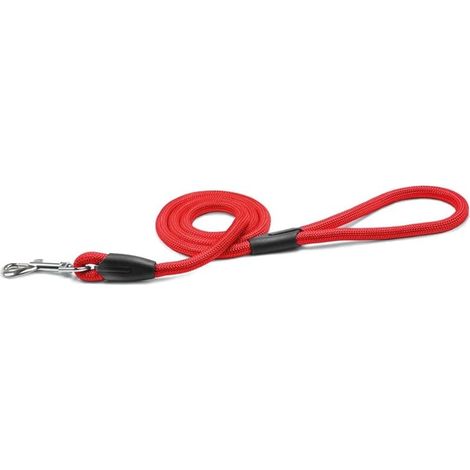 Laisse Chien Tubulaire - Fabriqué en Nylon Doux et résistant avec détails en Plastique - Doté d'un Mousqueton en métal - Couleur Rosoo - Taille M - Ø 1,8 cm - Longueur 150 cm (1/2)
