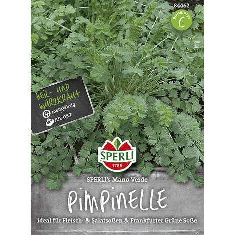 Sperli Pimpinelle - Kleiner Wiesenknopf SPERLI´s Mano Verde - Kräutersamen (1/2)