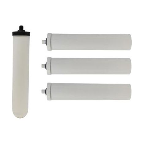 Ultracarb plus cartouches anti calcaire x3 pour Doulton duo calcaire