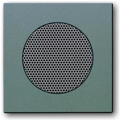Busch-Jaeger Zentralscheibe meteor/gr f.EB-Lautsprecher 8253-803 (1/2)