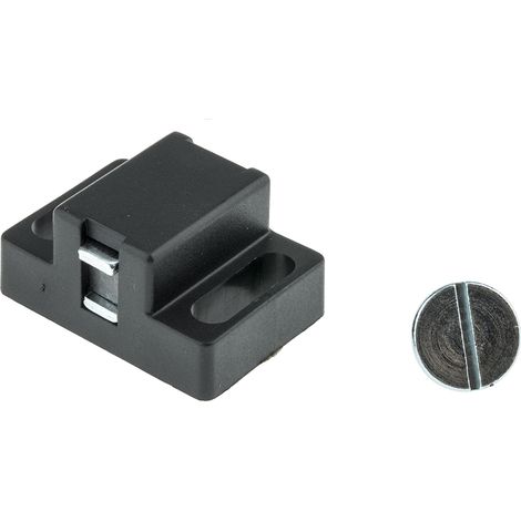 Loquet magnétique RS PRO Type 30, 40, Rainure 6mm ( Prix pour 1 ) (1/2)