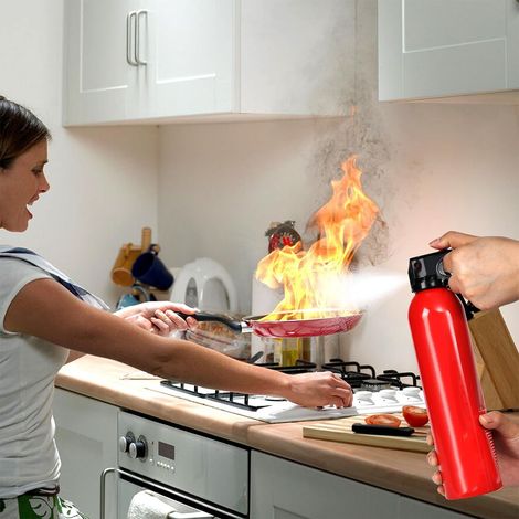 Extincteurs à mousse simples pour la maison, la cuisine, la voiture, les véhicules, portables, petits, 500 ml