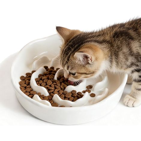 Anti Glutton Bowl, Anti Glutton Cat Bowl, Ceramic Anti Vomiting, Large Medium Small Dog Bowl for Slowly Eating for Cats and Small Dogs (White) (1/5)
