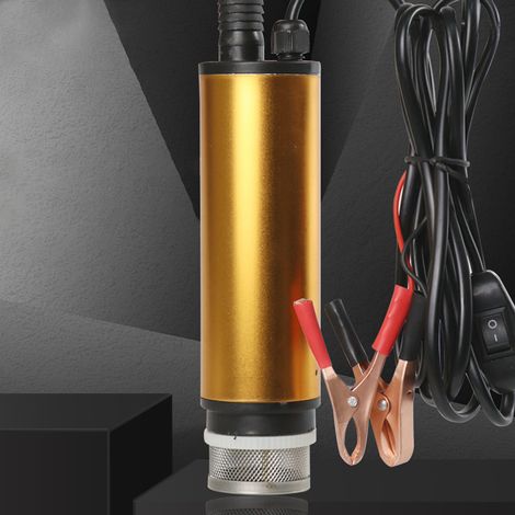 12V elektrische Dieselpumpe für antiseptische Kraftstoffabgabe (1/5)
