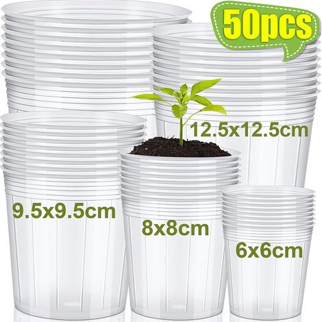 Pot de fleurs transparent (6 x 6 cm, 10 pièces) - Outil de jardinage pour semis, rempotage et plantation