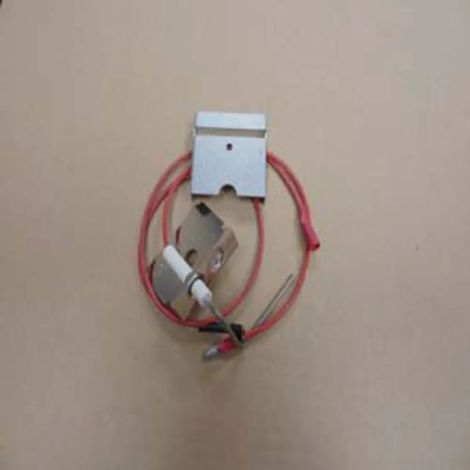 Remeha Électrode d'ionisation City EcoNox+II, 86665622