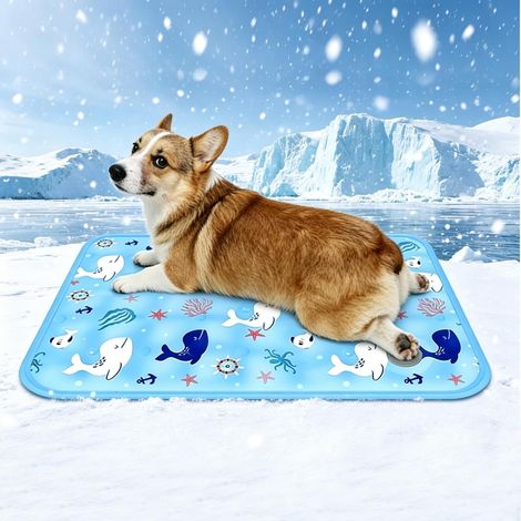 Tapis rafraîchissant pour chiens et chats - 50 x 60 cm - Avec gel imperméable - Tapis de refroidissement rempli d'eau - Tapis de refroidissement auto-rafraîchissant pour intérieur et extérieur (1/5)