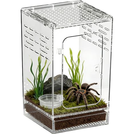 Habitat d'Araignée Sauteuse Entièrement Transparent Aéré et Confortable Habitat pour Mante Religieuse Grenouille pour Lézards Grenouilles Serpents Crabes Ermites Petites (1/5)