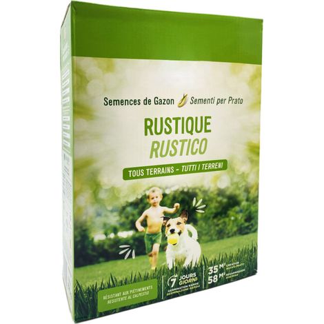 Semi per prato rustico calpestabile da 875 gr - Sementi per prato con germinazione rapida in 7 giorni - Copertura 35 m² (1/5)