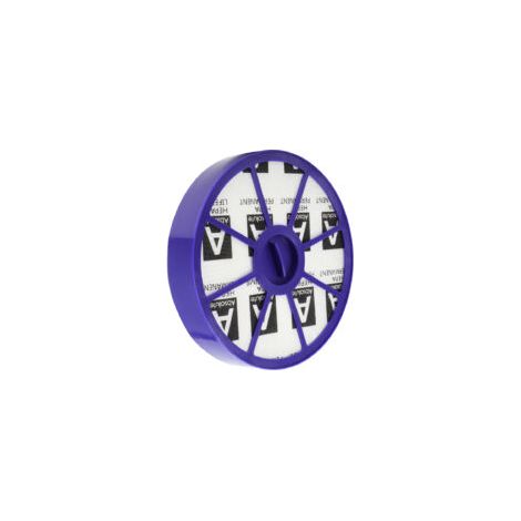 Filtre Hepta Post Motor - Filtre de rechange pour aspirateurs Dyson DC04, DC05, DC08, DC19 et DC20 (1/2)