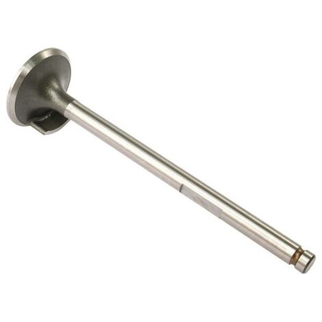 Soupape d'admission VAPORMATIC VPA1230