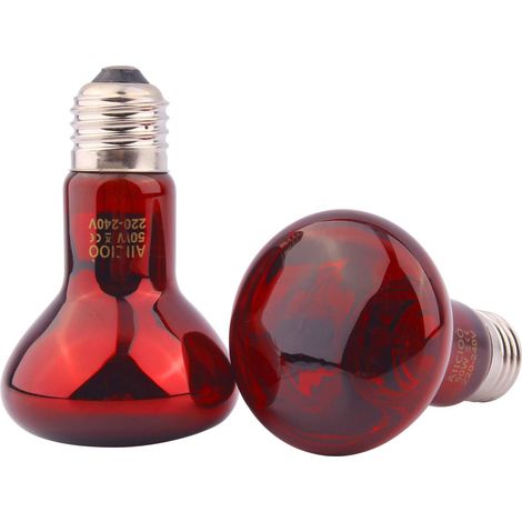 Lampe chauffante infrarouge pour reptiles - Dragon barbu/Lézard T (1/5)