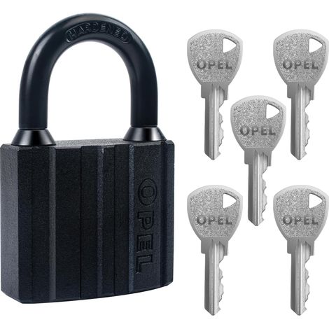 Lucchetto per impieghi gravosi con 5 chiavi, lucchetto per capannoni da giardino, container, magazzino, garage, serranda, unità di stoccaggio, capannoni da giardino, garage, recinzioni (50 mm)