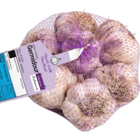Bulbes d'ail violet à repiquer 500gr – Variété traditionnelle d'automne – Gousses à chair ivoire – Bon rendement – Debaere