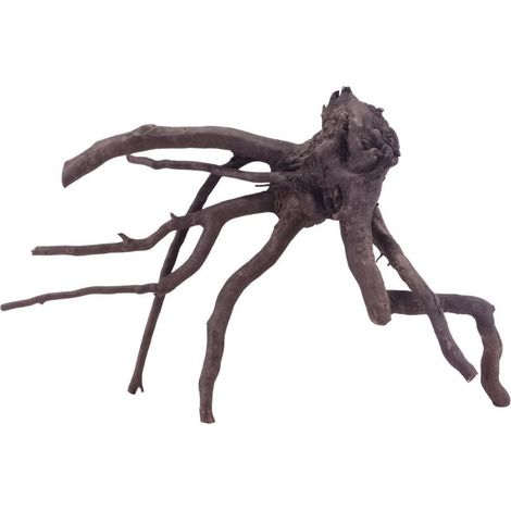 L Black Spider Wurzel Nr.5219 Fingerwurzel Echtholz Deko Aquascaping