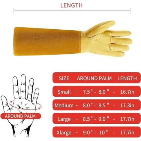Gants de protection anti-épines pour la cueillette et l'apiculture - Taille 12cm - Brun (1/2)