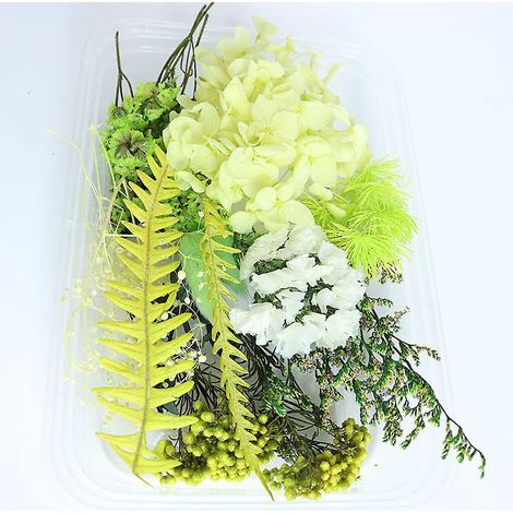 1 Boites Vraies Fleurs Sechees Naturelles Melangees Plusieurs Fleurs Sechees Assorties Pour Bricolage Artisanat Fait Main Decoration De La Maison (1/5)