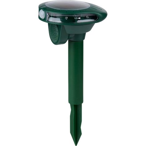 Grundig Lutte antiparasitaire Vert H35.2xl15.8xL12.9cm (1/2)