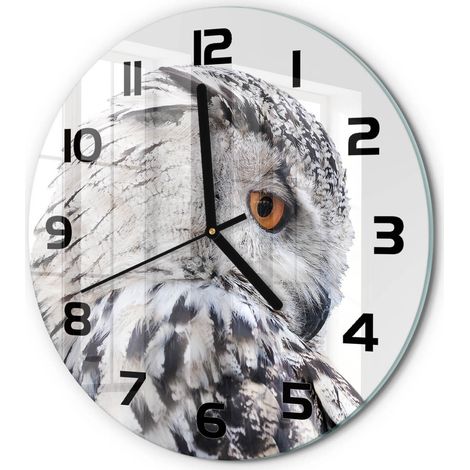 Horloge Murale Ronde en Verre Silencieuse Sans Tic-Tac Salon Cuisine Chambre Hibou blanc fi 30 cm (1/5)