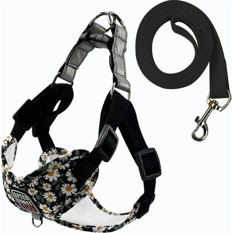 Fournitures pour animaux de compagnie Laisse respirante pour chien Laisse imprimée pour chien de promenade pour chien de petite et moyenne taille Nouveau harnais pour animaux de compagnie en gros (1/3)