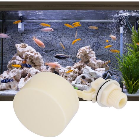 Vanne à flotteur de haute qualité, mini-cylindre en plastique non toxique G1/2 pour équipement d'alimentation en eau (1/5)