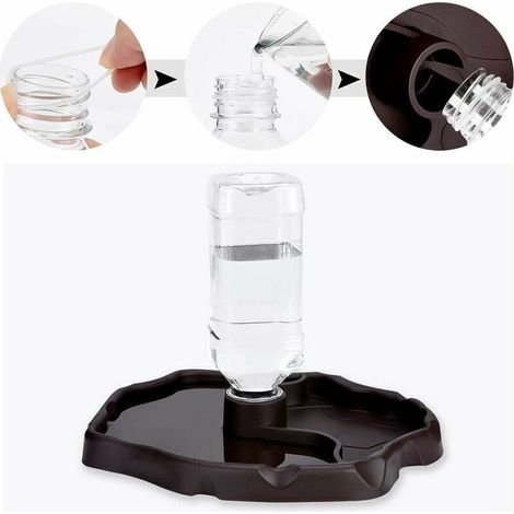 Distributore d'acqua per rettili, ciotola per cibo anti-rovesciamento 2 in 1, in plastica, per tartarughe e gechi - Marrone (1/4)