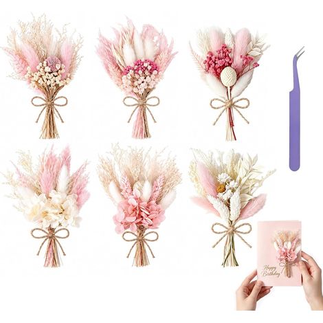 6 Pcs Fleurs Séchées, Rose Fleurs Sechees Naturelles, Mini Bouquet Fleurs Séchées pour Petits Cadres Photo, Bricolage,Scrapbook Cadre Photo Décoration Nail Art Artisanat (1/5)
