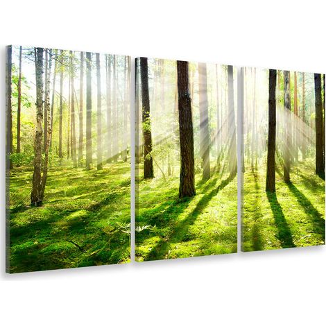 Tableau triptyque Tableau photo sous bois de jacinthes - 90x60 cm Toile imprimée (1/5)