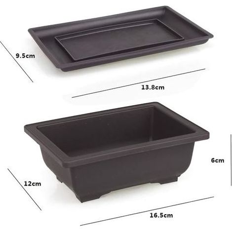 Lot de 6 Pot pour Bonsai avec Soucoupe, 16x12x6cm Pots de Fleurs en Plastique avec Outillage de Jardin, Pot Bonsai Rectangulaire avec Trou d'échappement pour Jardins Balcon Extérieur Intérieur (1/5)