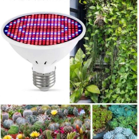 220V 110V LED-Pflanzenwachstumslampe Vollspektrum E27 Gewächshaus-Setzlings-Obst- und Gemüse-Fülllicht (1/4)