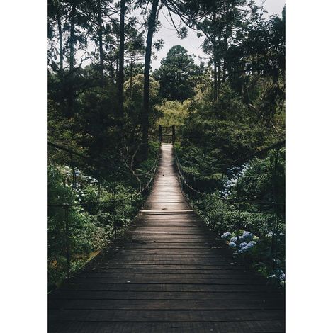 Tableau jungle moderne idéal déco salon | Tableau nature vert pour couloir | Tableau sur toile forêt pour chambre d'adulte - 0,5 x 0,7 m (1/2)