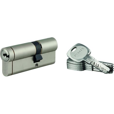 THIRARD - Lot de 10 cylindres Transit 1 30x50mm, nickelé, 5 clés - THIRARD