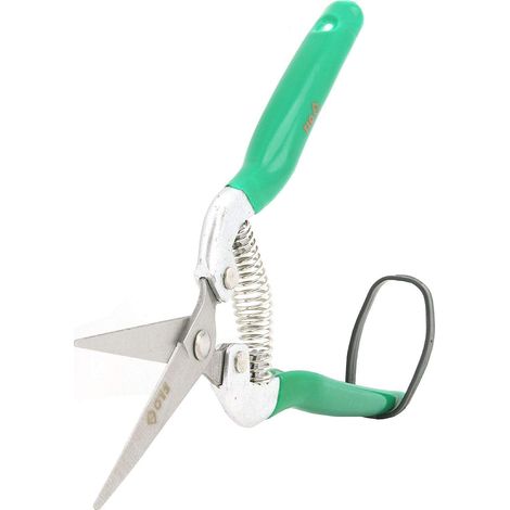 SÉCATEUR FLO POUR COUPER LES BOURGEONS 99240 (1/5)
