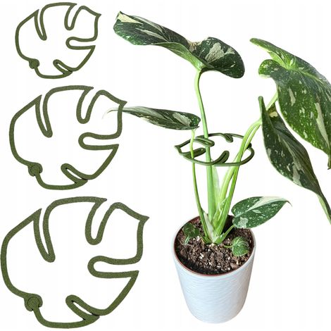 Supporto per piante e fiori, robusto supporto per Monstera con morsetto di fissaggio, taglie S, M, L, 3 pezzi (1/5)
