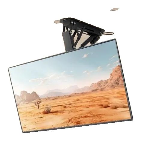 Decken-TV-Halterung, verstellbares Design, unterstützt VESA 600x600 mm, schwarz (1/2)